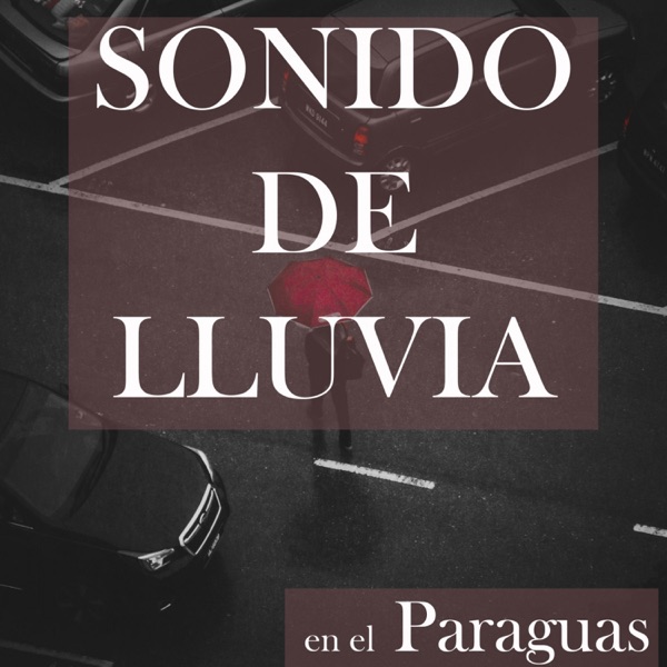 Sonido de Lluvia en el Paraguas
