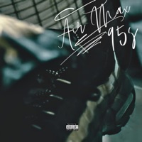 Air Max 95s - Single - Pain2Power Marble