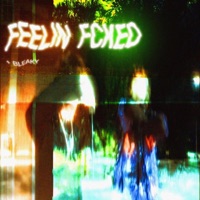 feelin fckd (feat. bleaky) - Single - arl