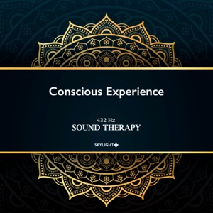 Conscious Experience (feat. Skylight+) - EP