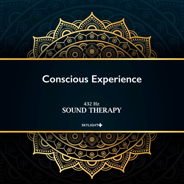 Conscious Experience (feat. Skylight+) - EP