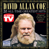 20 All-Time Greatest Hits (Re-Recorded Versions)