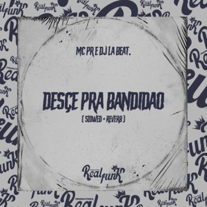Desce pra Bandidão (Slowed + Reverb)