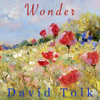 Wonder - David Tolk