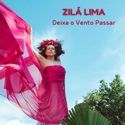 Deixa o Vento Passar (feat. Rogério Souza, Jorge Filho, Celsinho Silva & João Camarero) - Single