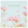 Hanami - BigRicePiano