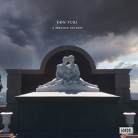 A Teknoid Shadow - Single - Don Turi