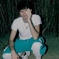 22 - Single - Lo'fi Boy