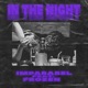 In the Night feat Frozen Single