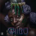 Wiiru
