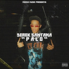 Palo Derek Santana