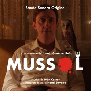 You Make Me Feel (Mussol)