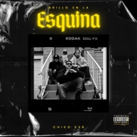 Brillo En La Esquina - Single - Chiko KSR