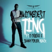 Wickedest Ting (feat. D Double E) [Sammy Porter Extended Remix] artwork