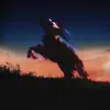 Runaway Mustang