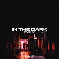 In the Dark - Single - PVSHV