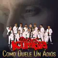 Como Duele Un Adiós