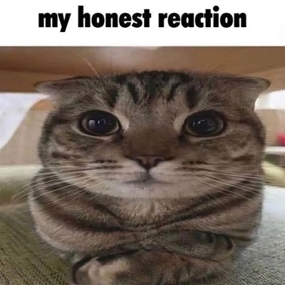 My Honest Reaction - Single