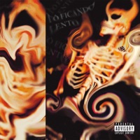 Tô Ficando Lento - Single - Zielis