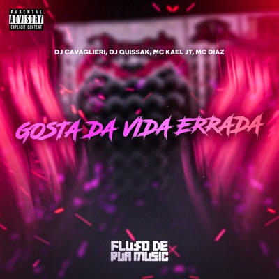 Gosta da Vida Errada - Single