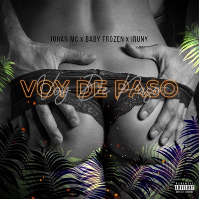 Voy de paso (feat. lruny & Baby frozen) - Single