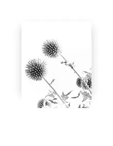 Ακούστε περιεχόμενο από Static Sway, παρακολουθήστε μουσικά βίντεο, διαβάστε το βιογραφικό, δείτε ημερομηνίες περιοδείας, και πολλά ακόμη!