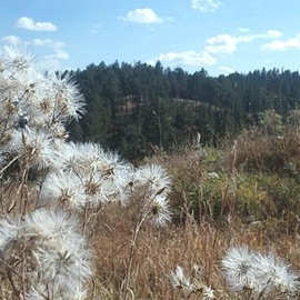 november paigemybeloved