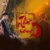 Thê Lương (Remix) - Single