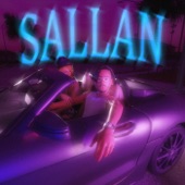 Sallan artwork