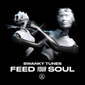 Feed Your Soul artwork