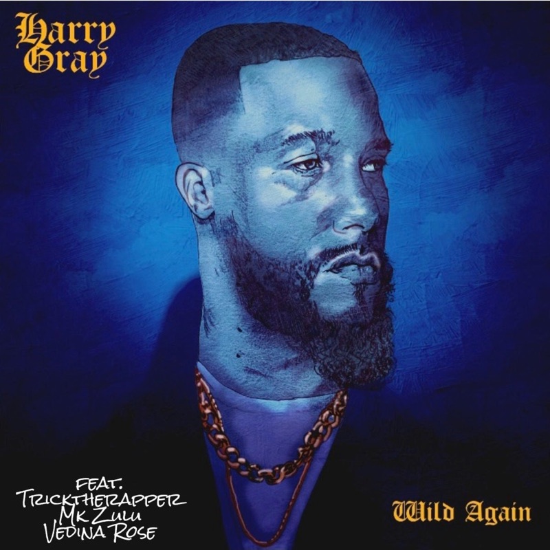 Wild Again (feat. Tricktherapper, Mk Zulu & Vedina Rose) Harry Gray