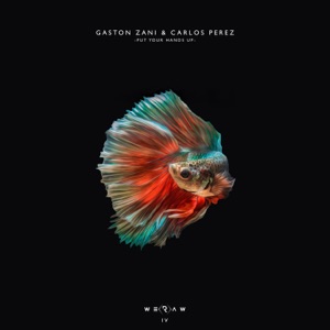 Put Your Hands Up - Single