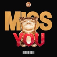 Miss You - Single - DJ Martinez