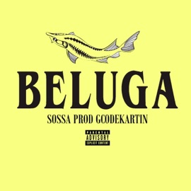 BELUGA (feat. gcodekartin) SOSSA