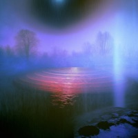 Vans - Single - Sensi Affect