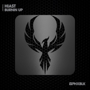 Burnin Up - Single