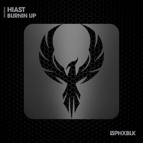Burnin Up - Single