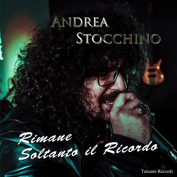 Andrea Stocchino (Rimane soltanto il ricordo) [feat. Andrea Stocchino] - Single
