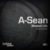 Wasted Life - Single