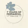 Feel It (Soul Groove Late Night Dub)