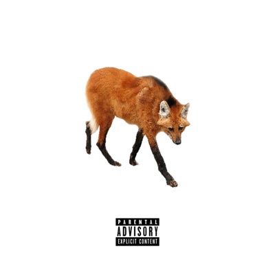 Flow Lobo Guará - Single