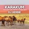 Karakum - DJ Herbie lyrics