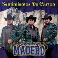 Sentimientos De Cartón - Single - Hermanos Madero