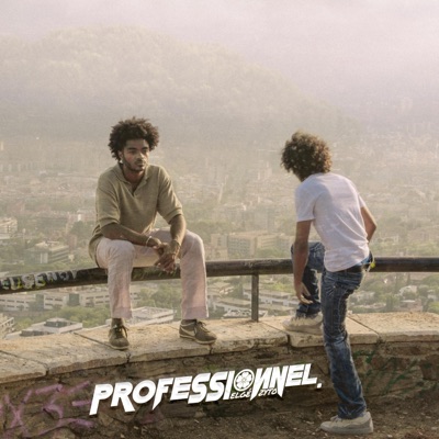 Professionnel - Single