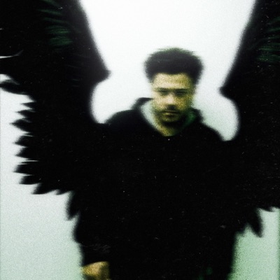 Fool Me Twice, Shame on Me - Single