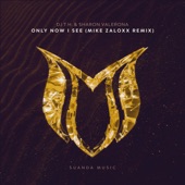 Only Now I See (Mike Zaloxx Remix) artwork