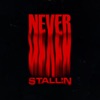 Never Stallin - Single