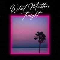 What Matters Tonight (Radio Edit) - Single - Tehj & Player2