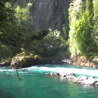 Shimmer - Single - MXMLN