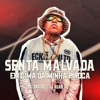 Senta Malvada em Cima da Minha Piroca - Single